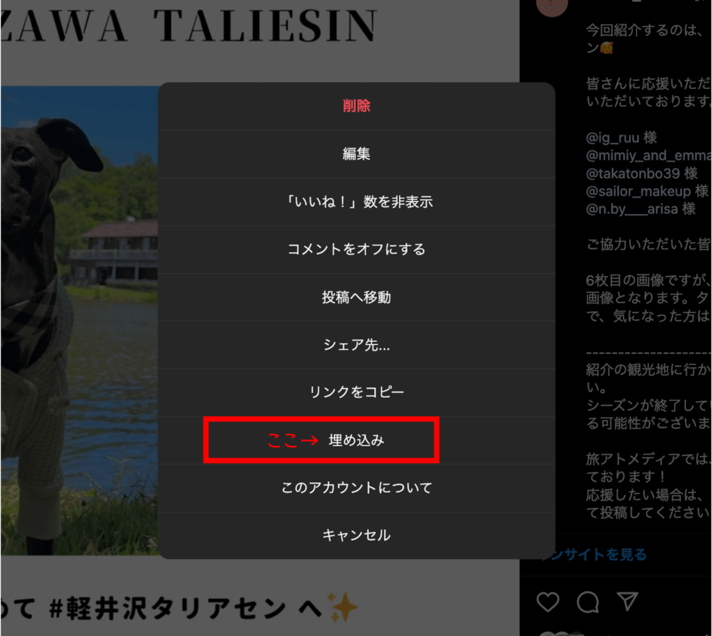 Instagramの投稿の埋め込みボタン