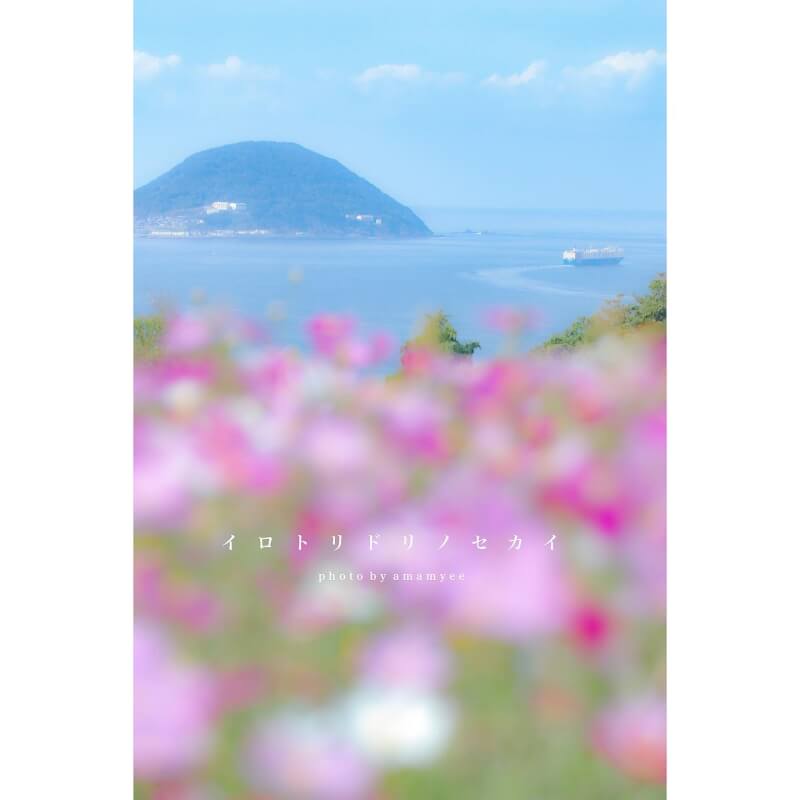 amamyee_20191113_ 能古島 アイランドパーク