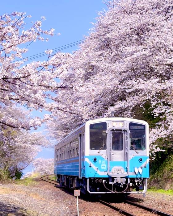 event-post-id-post.pk_-166