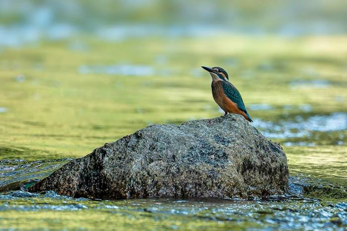 event-post-id-{post.pk}